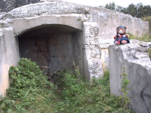Bunkerbos Bunkerbos