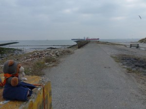 Schiffe gucken an der Westerschelde Schiffe gucken an der Westerschelde