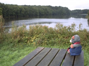 Rastplatz am See Rastplatz am See