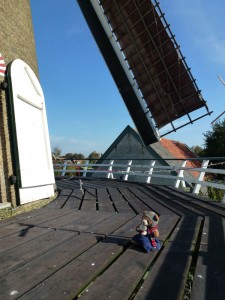 Molen de Zwaan