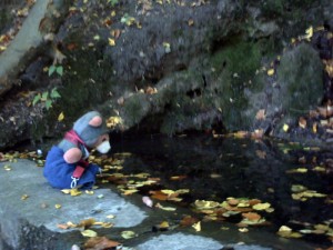 der Teich, in dem sich Narziss in sein Spiegelbild verliebte der Teich, in dem sich Narziss in sein Spiegelbild verliebte