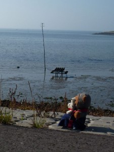 Picknick mit nassen Füßen Picknick mit nassen Füßen
