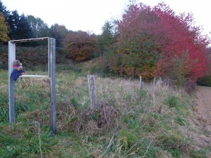 Schaukasten Schaukasten