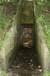 Wohnbunker Wohnbunker